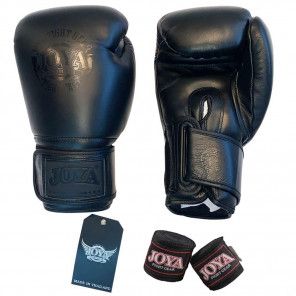 Joya Hawk Kickboxing Glove - Black/Black