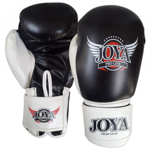 Joya  TOP TIEN  Boxing Glove (PU)  New model